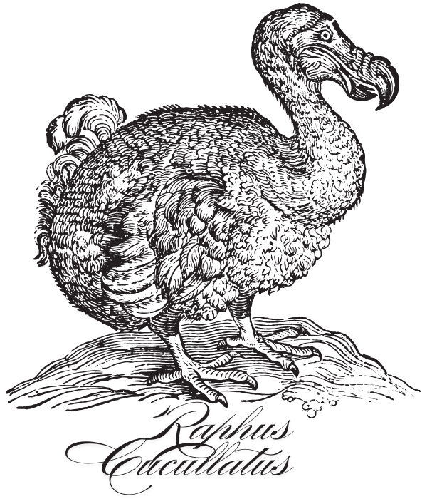 Raphus Cucullatus
